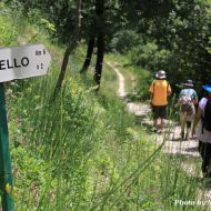 Assisi Spello trail
